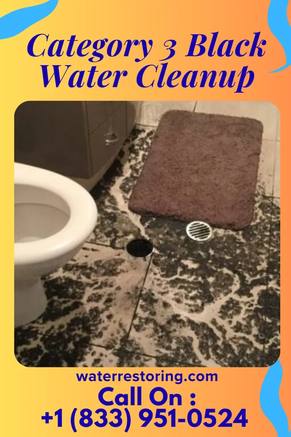 Category 3 Black Water Cleanup in New Underwood, SD