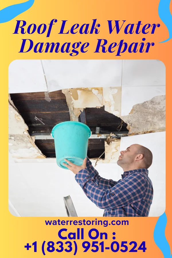 Roof Leak Water Damage Repair in New Underwood, SD